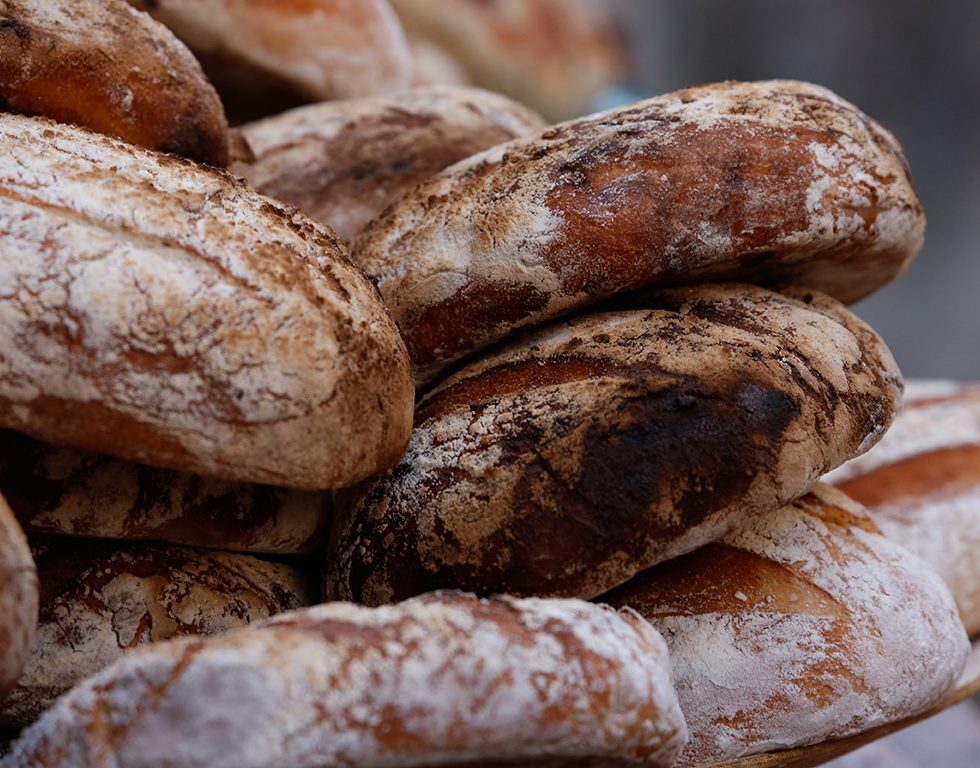 Endlich Horizont - Brot